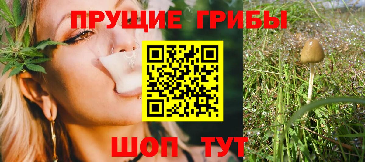 Псилоцибиновые грибы прущие грибы Кисловодск