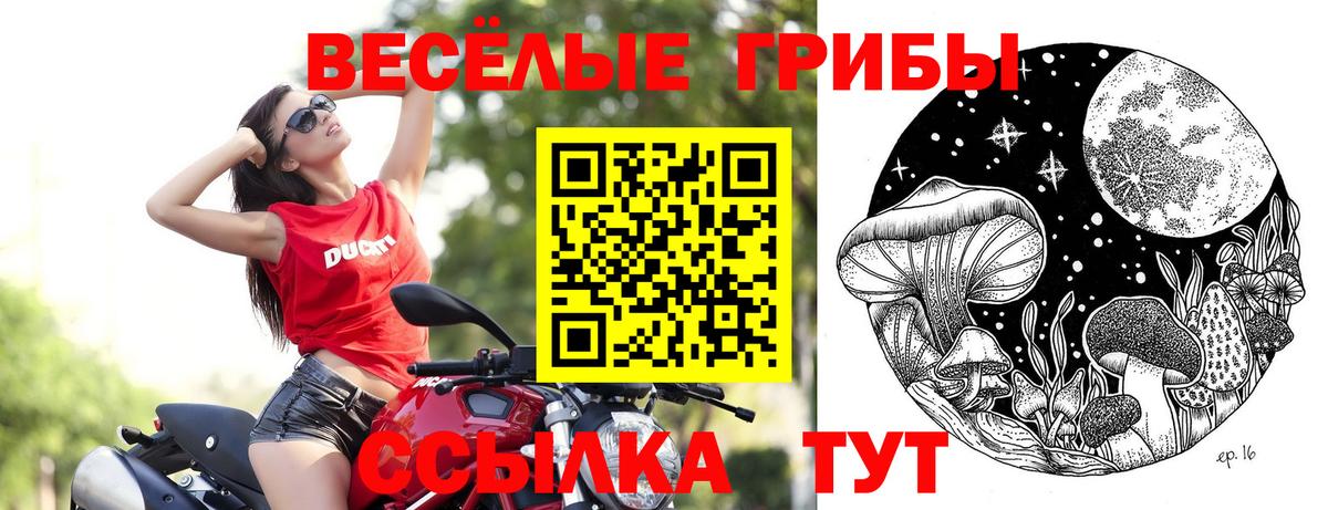 Галлюциногенные грибы Magic Shrooms  Вход с VPN  Кисловодск 